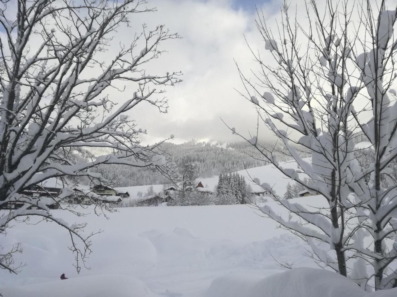 Ferienwohnung Höllhof Dachstein West Russbach am Pass Gschütt Exterior foto